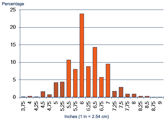 Average Size Of The Human Penis 82